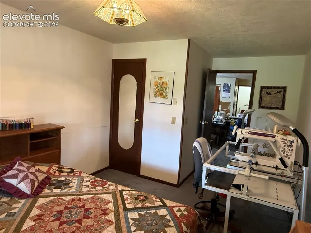 741 Elfin Glen Drive Divide, CO 80814