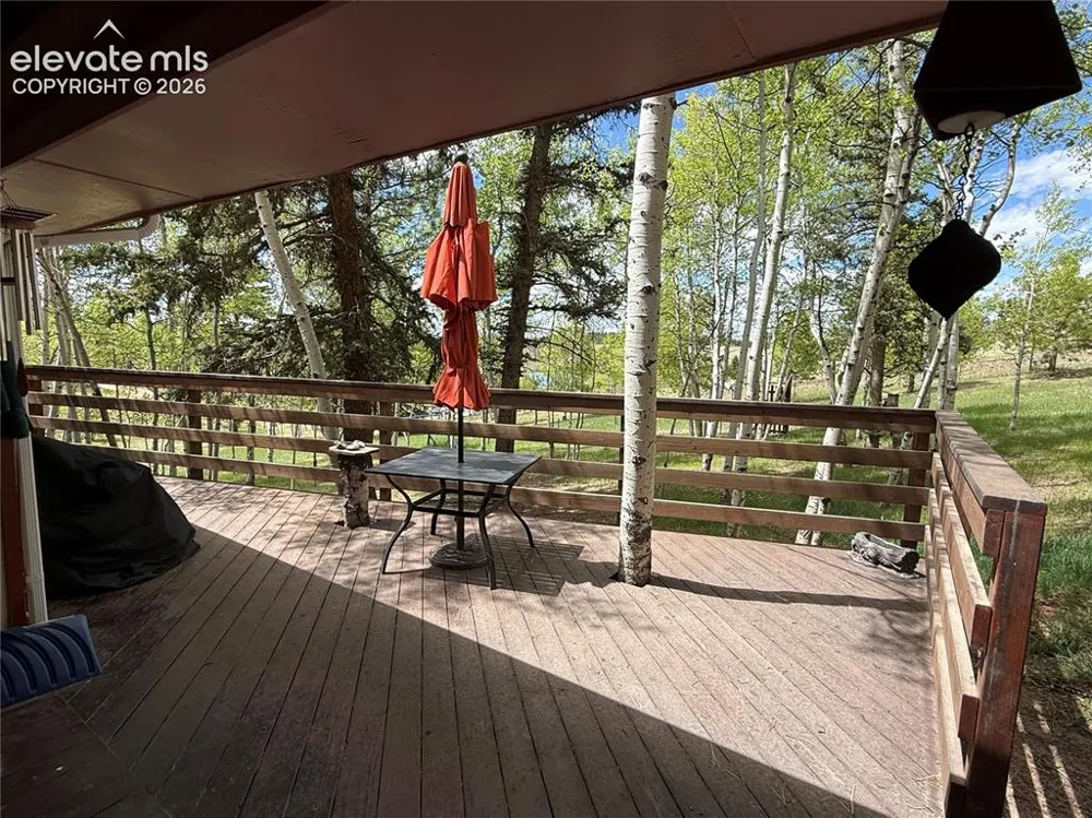 741 Elfin Glen Drive Divide, CO 80814