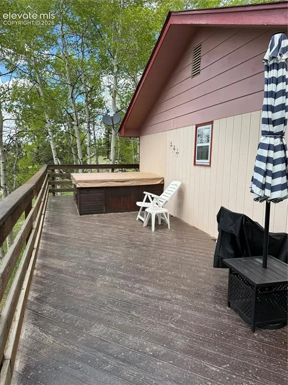 741 Elfin Glen Drive Divide, CO 80814