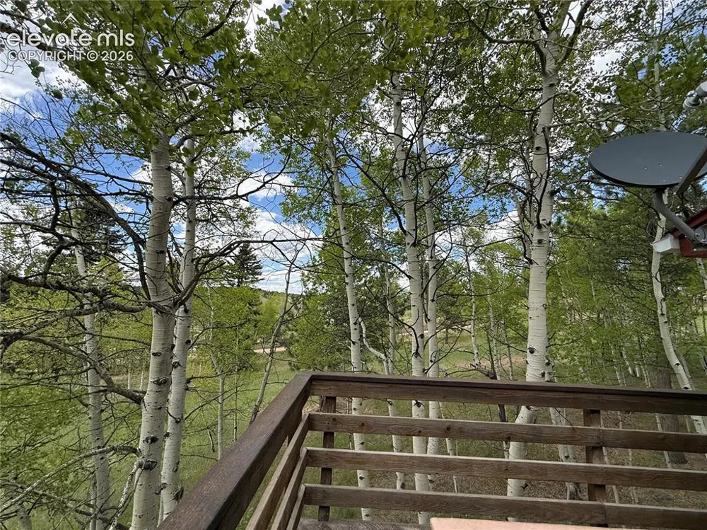 741 Elfin Glen Drive Divide, CO 80814