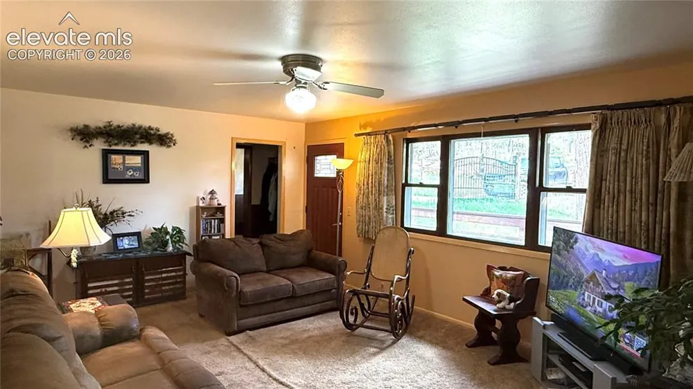741 Elfin Glen Drive Divide, CO 80814