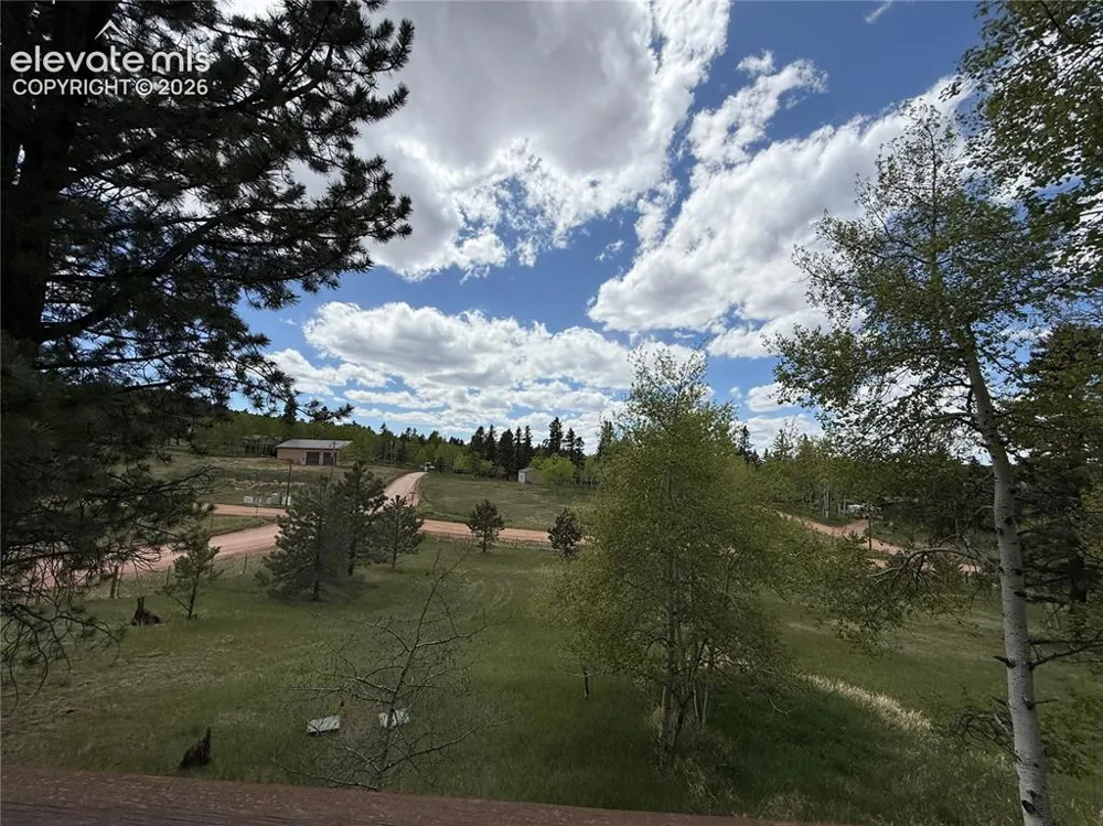 741 Elfin Glen Drive Divide, CO 80814