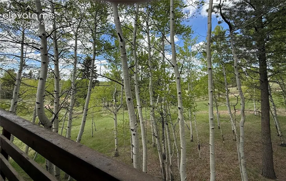 741 Elfin Glen Drive Divide, CO 80814