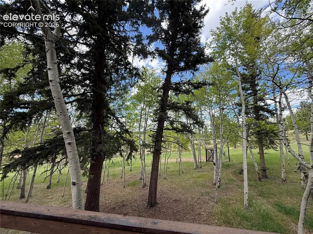 741 Elfin Glen Drive Divide, CO 80814