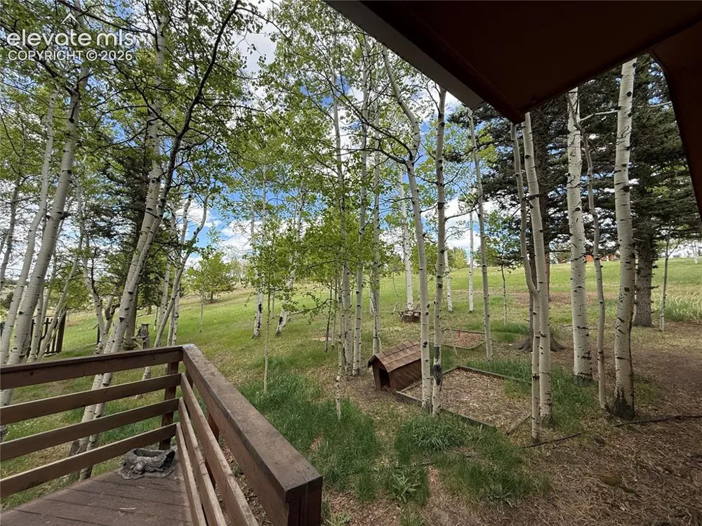 741 Elfin Glen Drive Divide, CO 80814