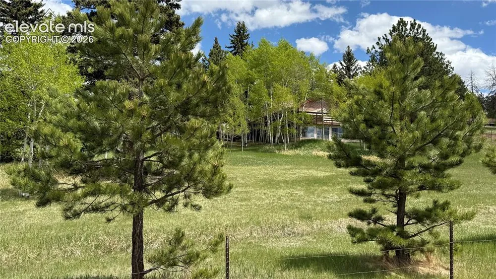 741 Elfin Glen Drive Divide, CO 80814