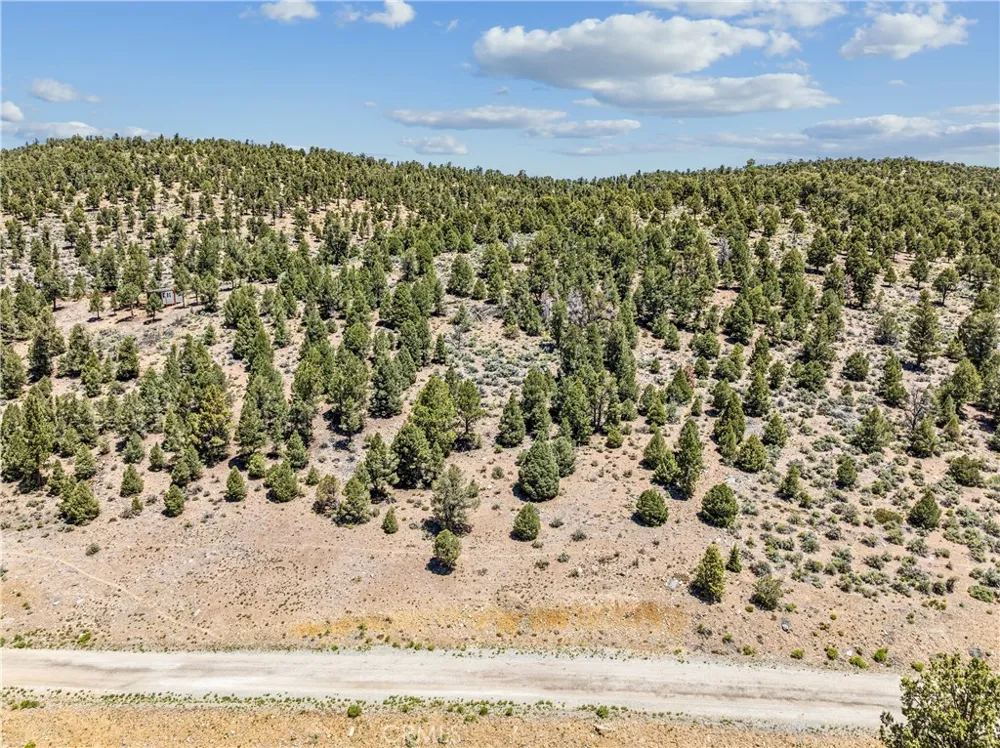 2787 Erwin Ranch Road Big Bear City, CA 92314