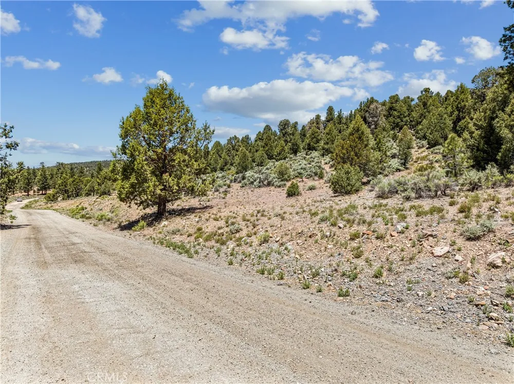 2787 Erwin Ranch Road Big Bear City, CA 92314