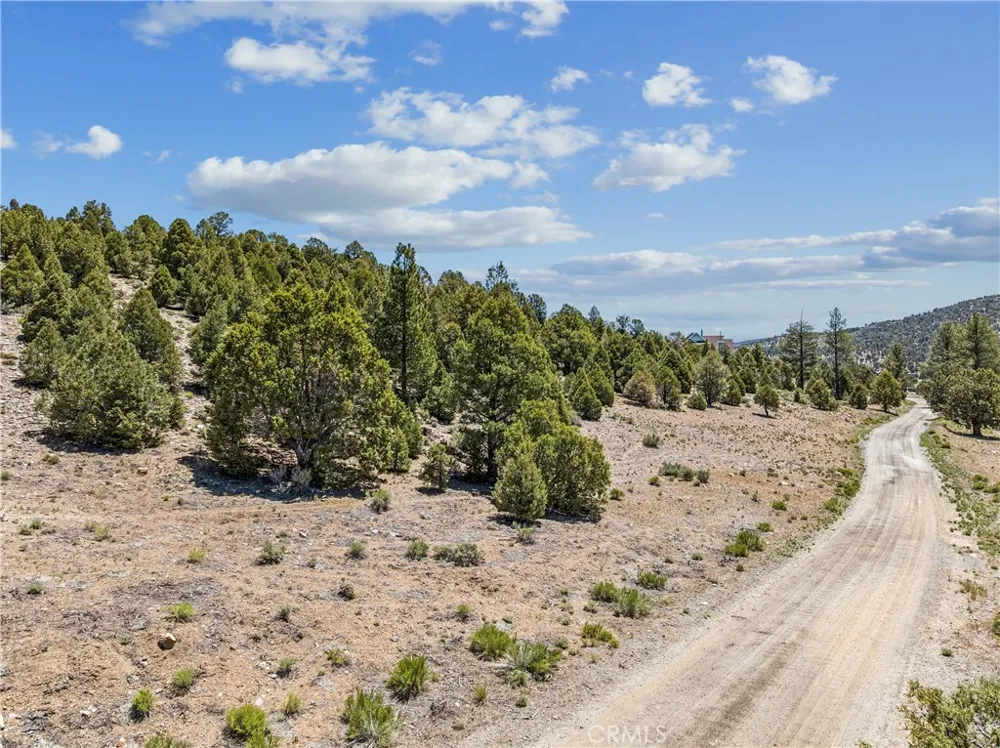 2787 Erwin Ranch Road Big Bear City, CA 92314