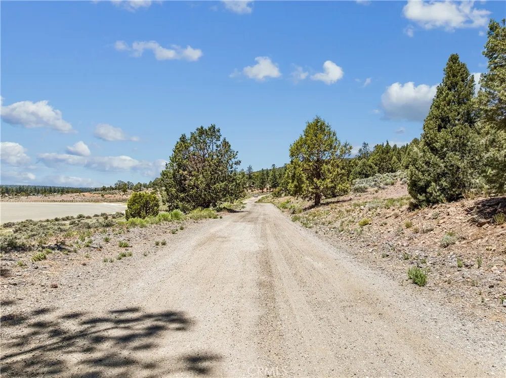 2787 Erwin Ranch Road Big Bear City, CA 92314
