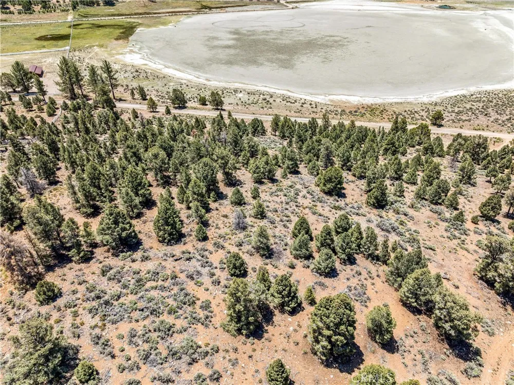 2787 Erwin Ranch Road Big Bear City, CA 92314