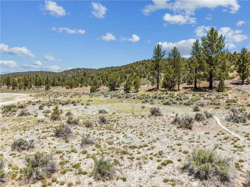 2787 Erwin Ranch Road Big Bear City, CA 92314