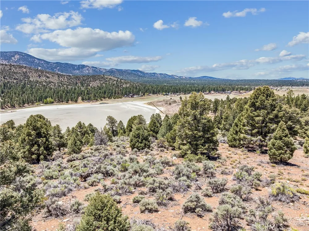 2787 Erwin Ranch Road Big Bear City, CA 92314
