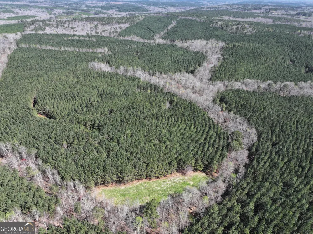 257 +/- Acres on Ridgeway RD Franklin, GA 30217