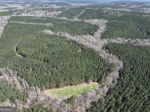 257 +/- Acres on Ridgeway RD