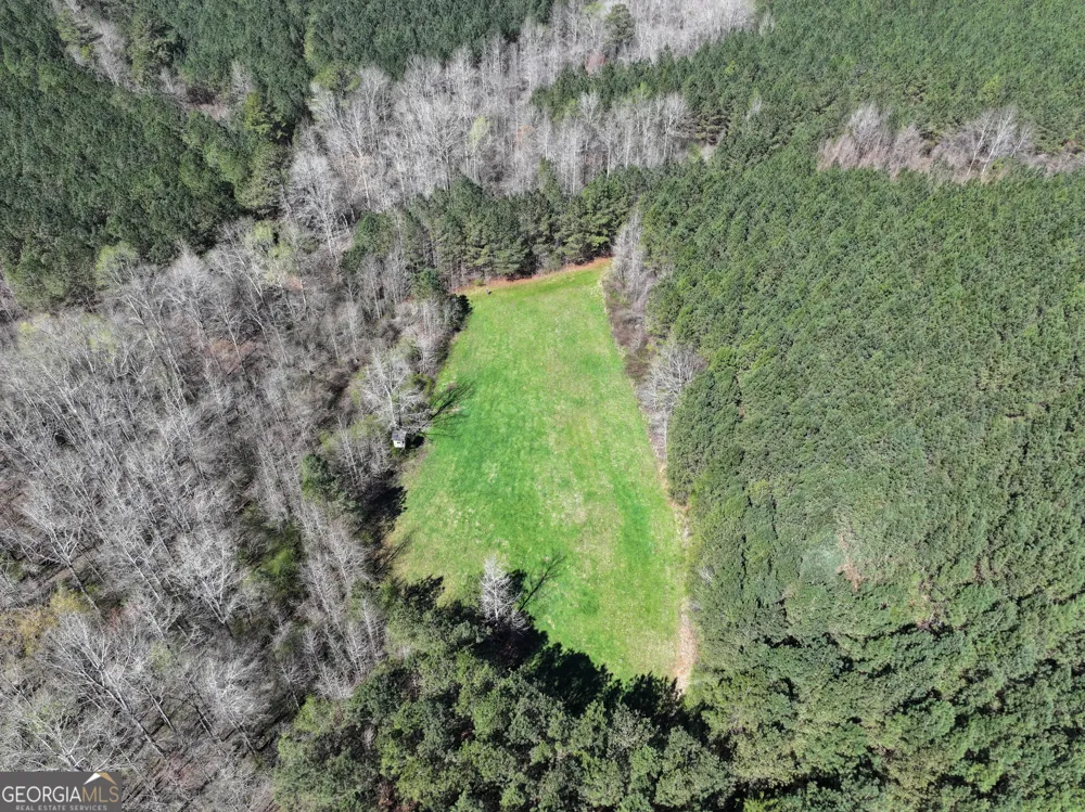 257 +/- Acres on Ridgeway RD Franklin, GA 30217