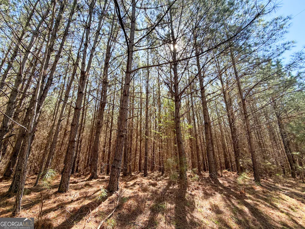 257 +/- Acres on Ridgeway RD Franklin, GA 30217