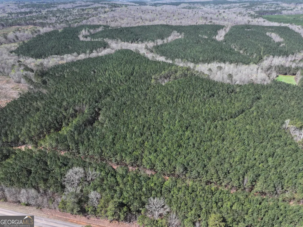 257 +/- Acres on Ridgeway RD Franklin, GA 30217