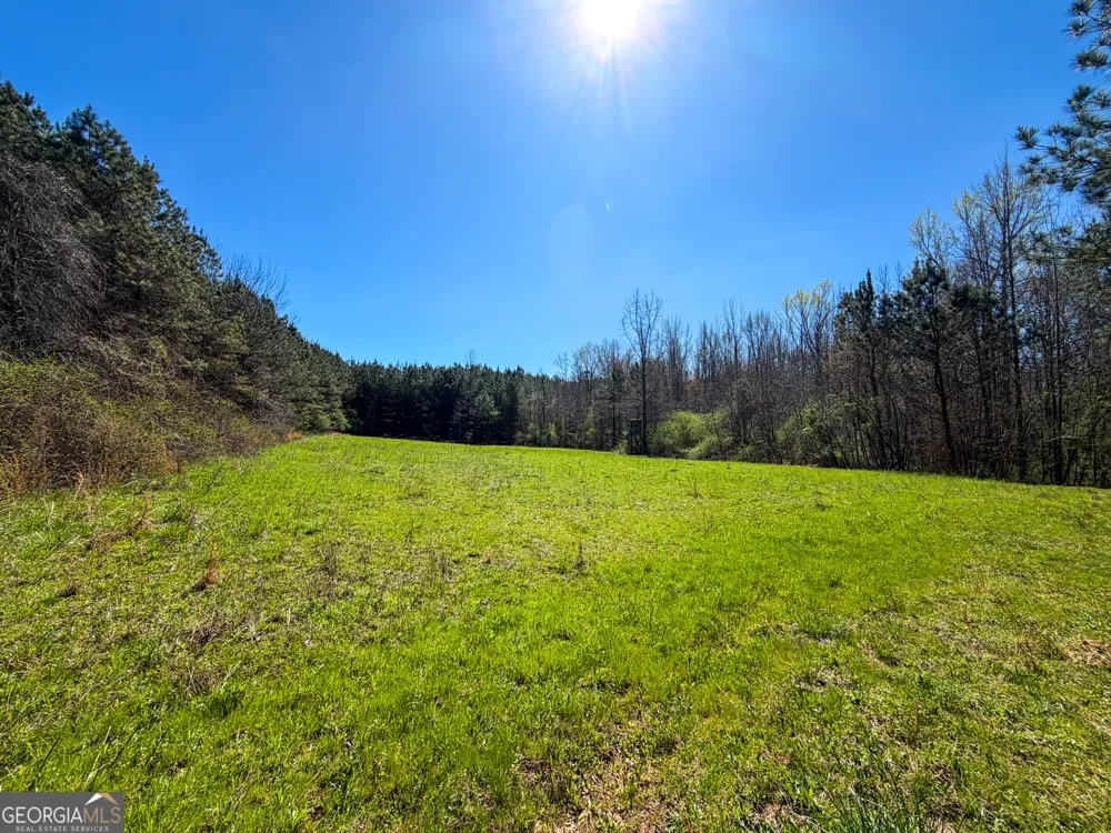 257 +/- Acres on Ridgeway RD Franklin, GA 30217
