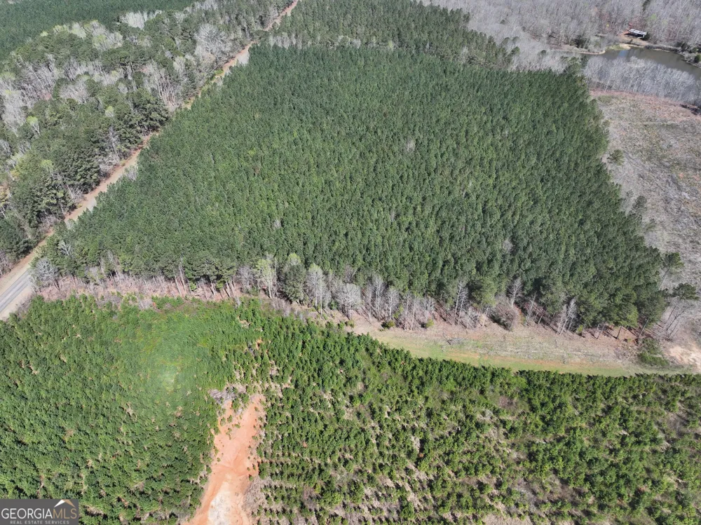 257 +/- Acres on Ridgeway RD Franklin, GA 30217
