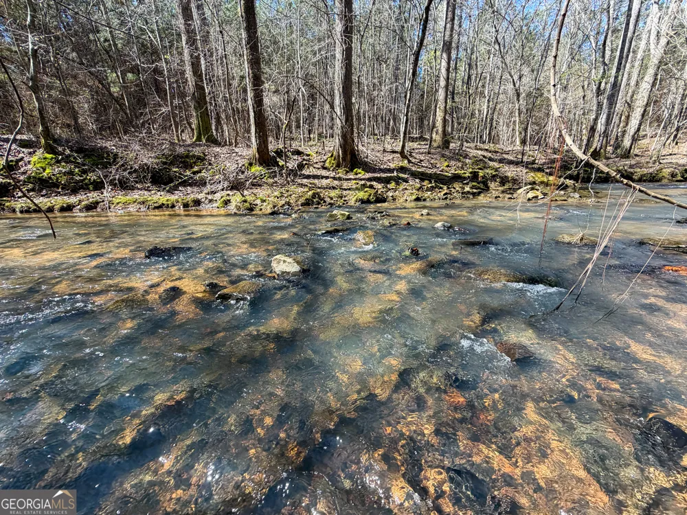 257 +/- Acres on Ridgeway RD Franklin, GA 30217