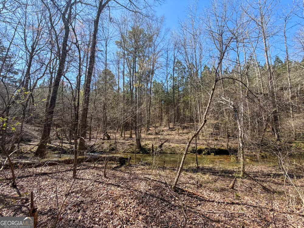 257 +/- Acres on Ridgeway RD Franklin, GA 30217