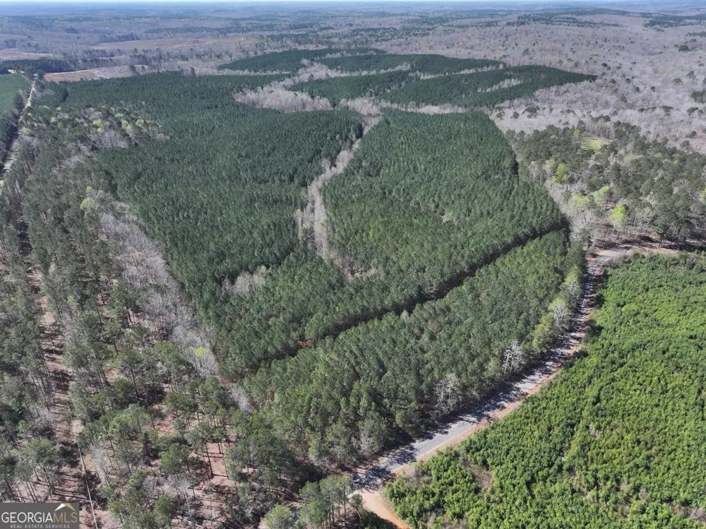 257 +/- Acres on Ridgeway RD Franklin, GA 30217