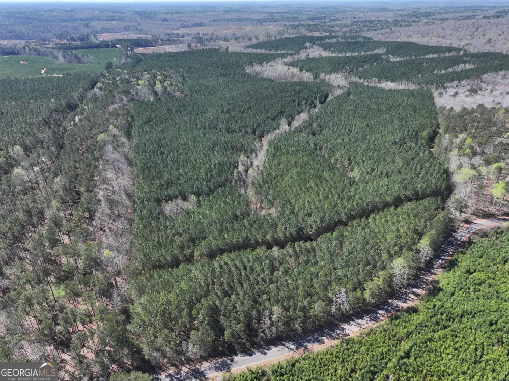 257 +/- Acres on Ridgeway RD Franklin, GA 30217