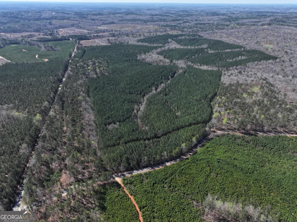 257 +/- Acres on Ridgeway RD Franklin, GA 30217
