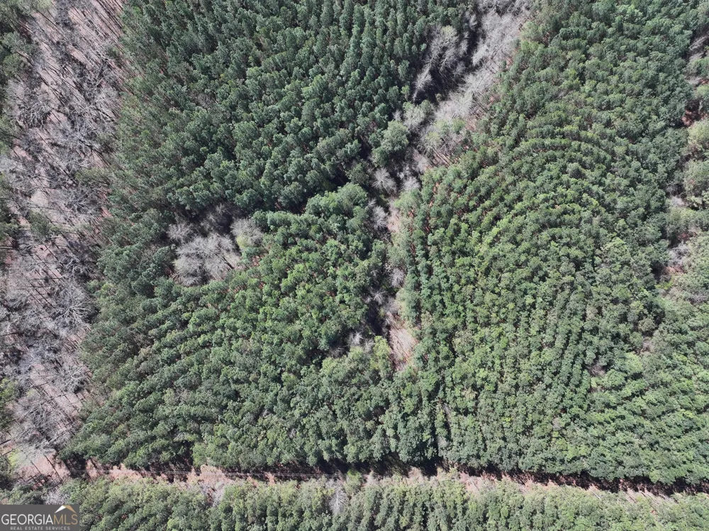 257 +/- Acres on Ridgeway RD Franklin, GA 30217