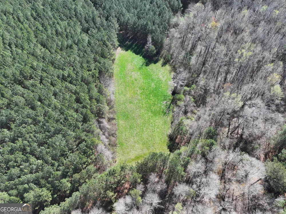 257 +/- Acres on Ridgeway RD Franklin, GA 30217