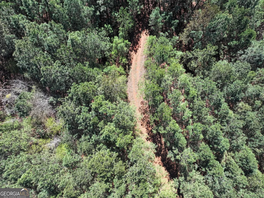 257 +/- Acres on Ridgeway RD Franklin, GA 30217