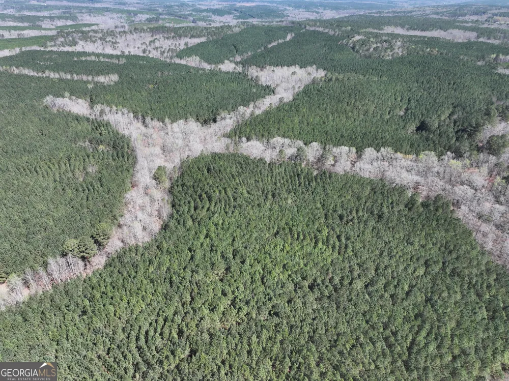 257 +/- Acres on Ridgeway RD Franklin, GA 30217