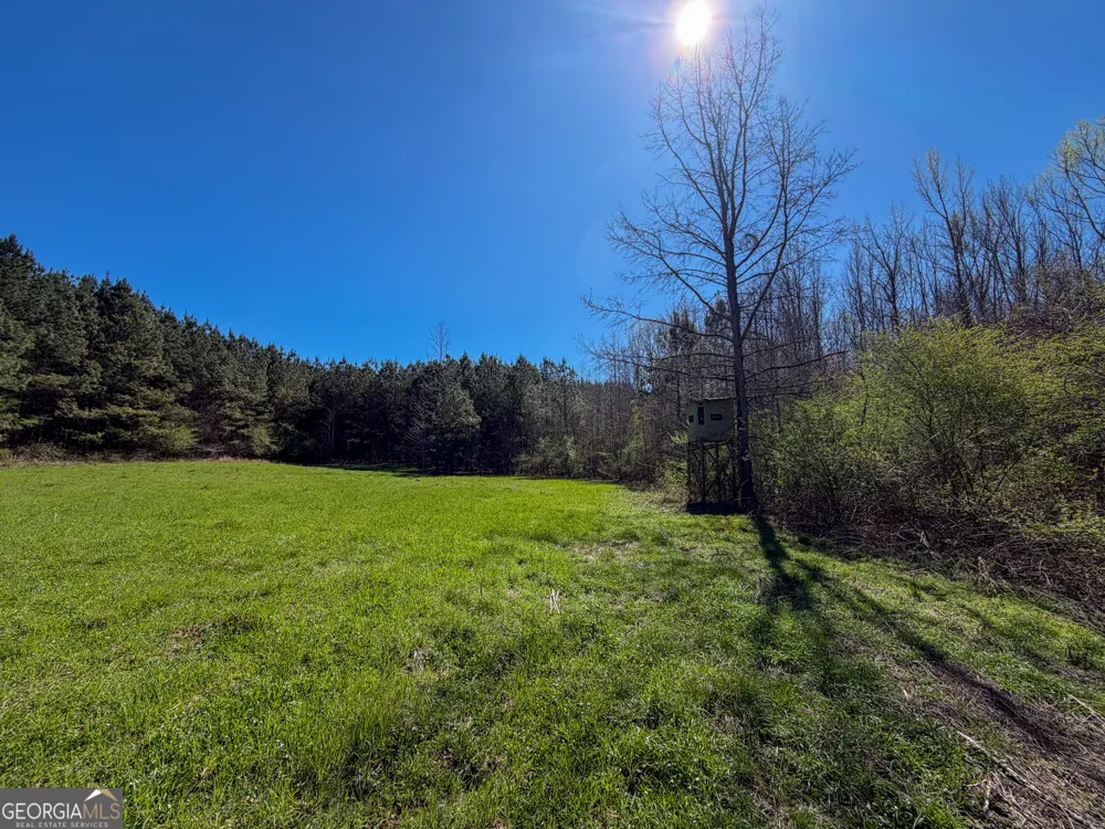 257 +/- Acres on Ridgeway RD Franklin, GA 30217