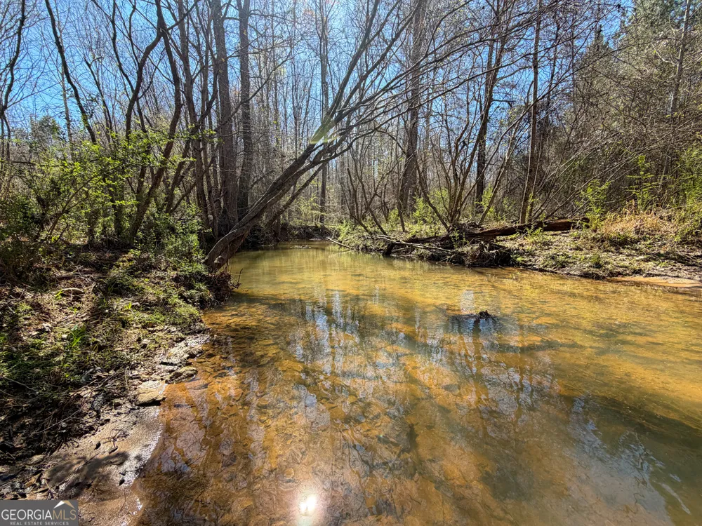 257 +/- Acres on Ridgeway RD Franklin, GA 30217