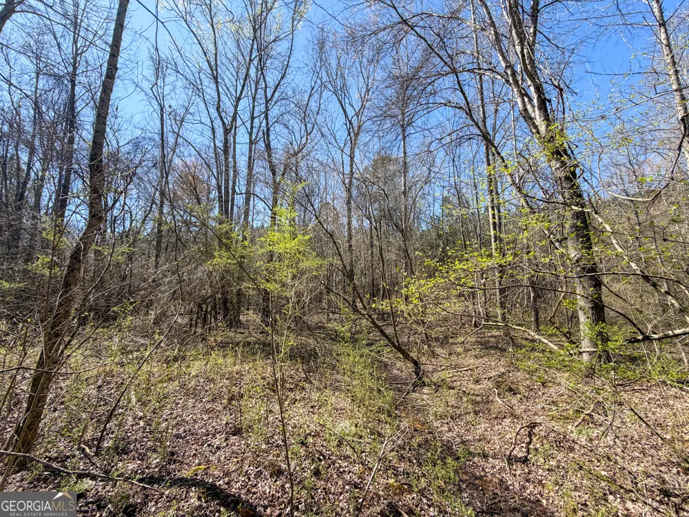 257 +/- Acres on Ridgeway RD Franklin, GA 30217