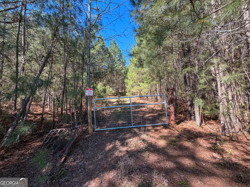 257 +/- Acres on Ridgeway RD Franklin, GA 30217