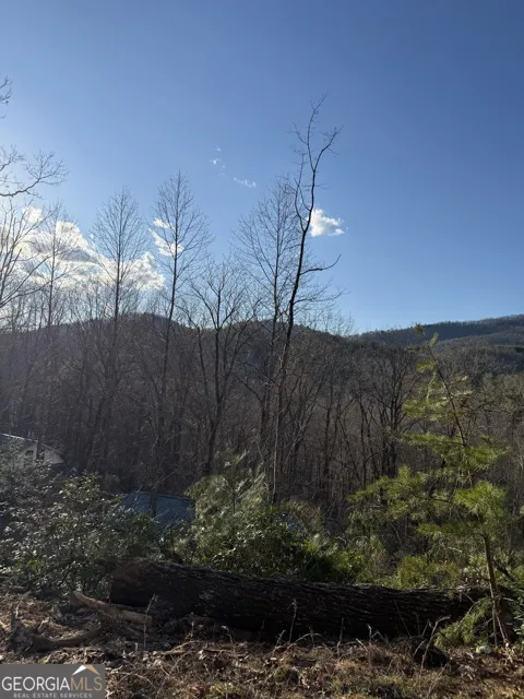 LOT 6D Meadow View LN