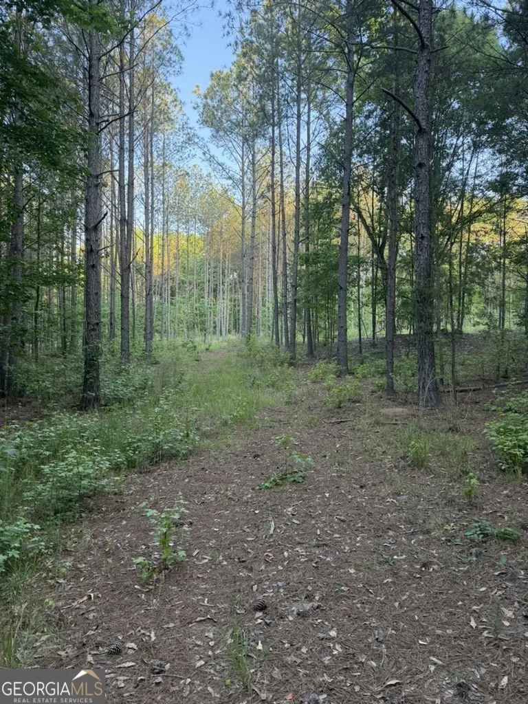 0 Old Rico RD Chattahoochee Hills, GA 30268