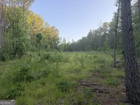 0 Old Rico RD