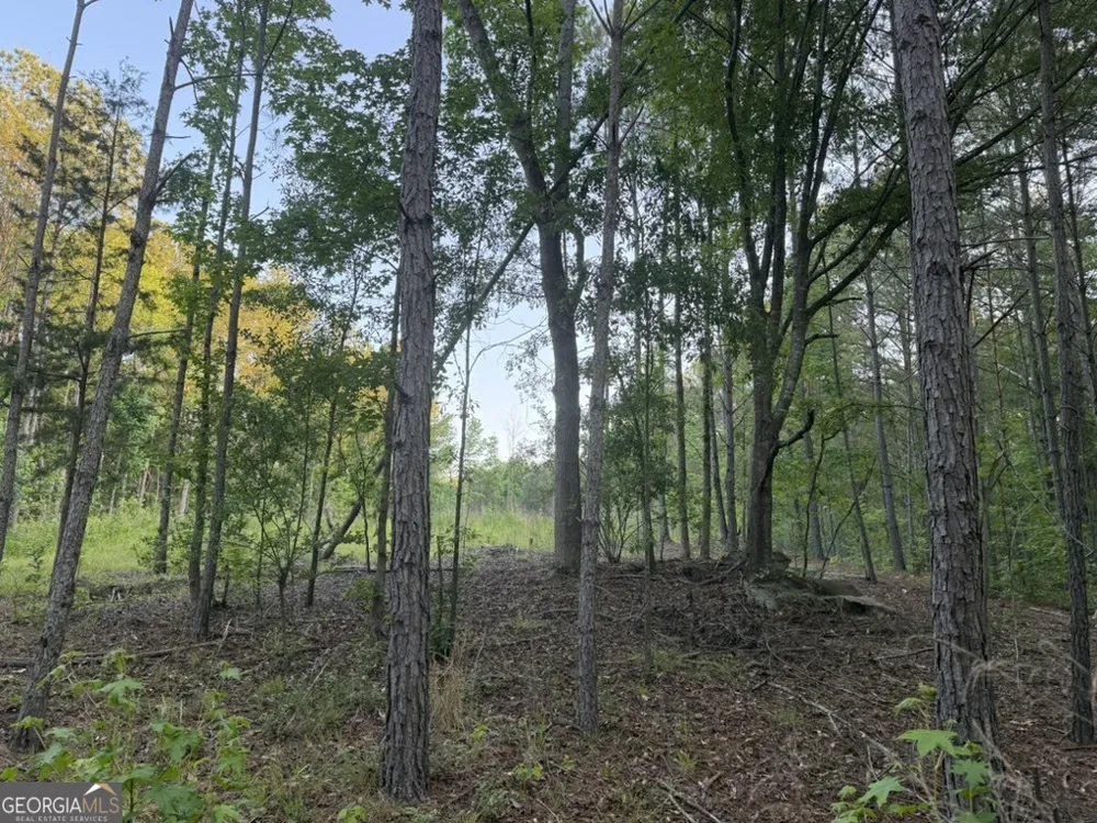0 Old Rico RD Chattahoochee Hills, GA 30268