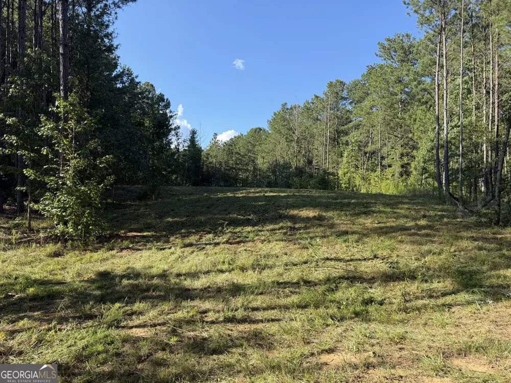 0 Old Rico RD Chattahoochee Hills, GA 30268