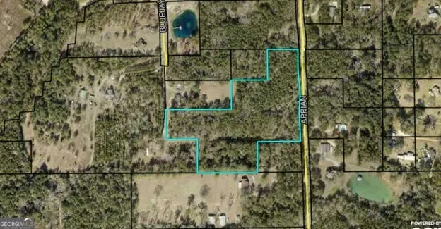 0 Appian WAY Baconton, GA 31716