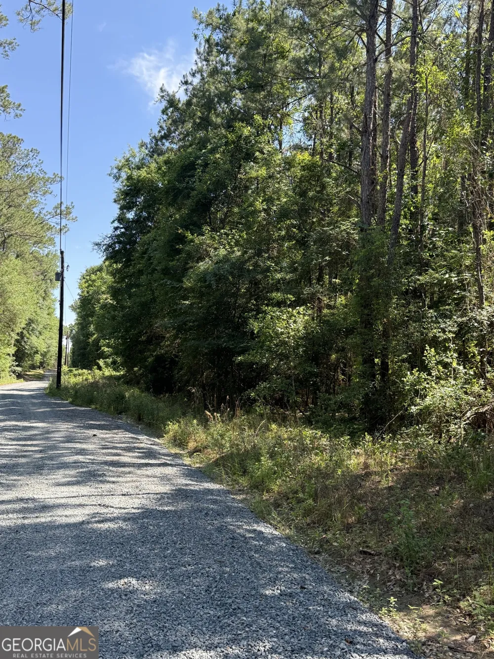 0 Appian WAY Baconton, GA 31716