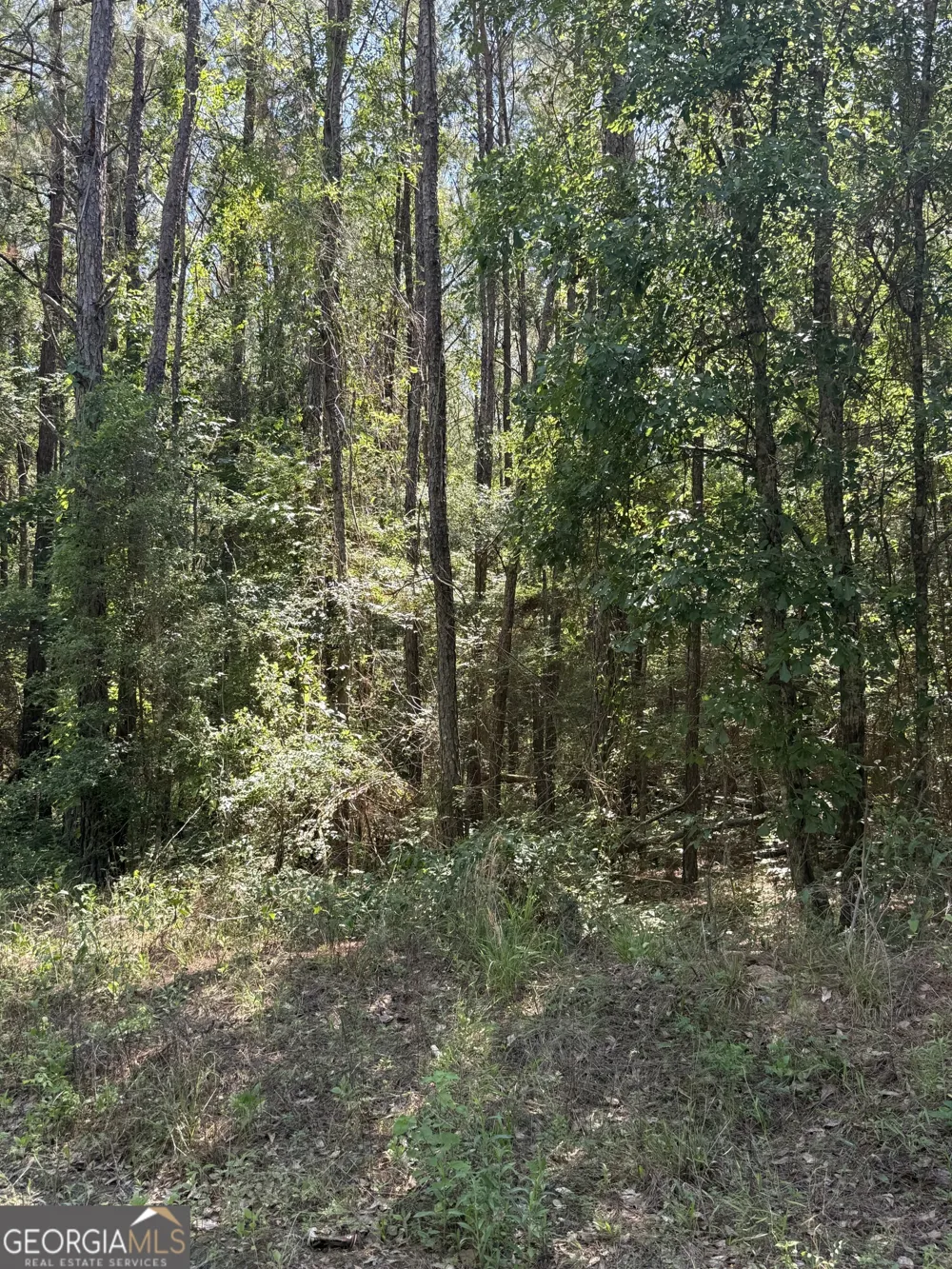 0 Appian WAY Baconton, GA 31716