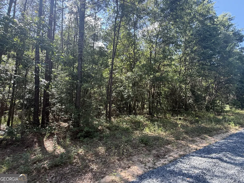 0 Appian WAY Baconton, GA 31716