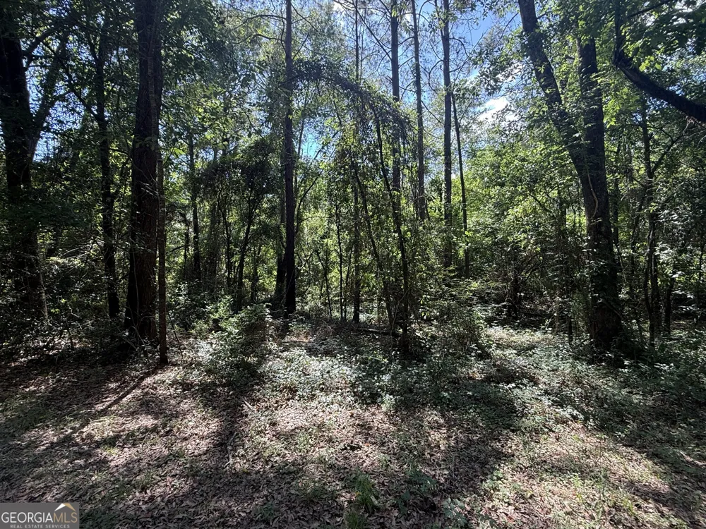 0 Appian WAY Baconton, GA 31716