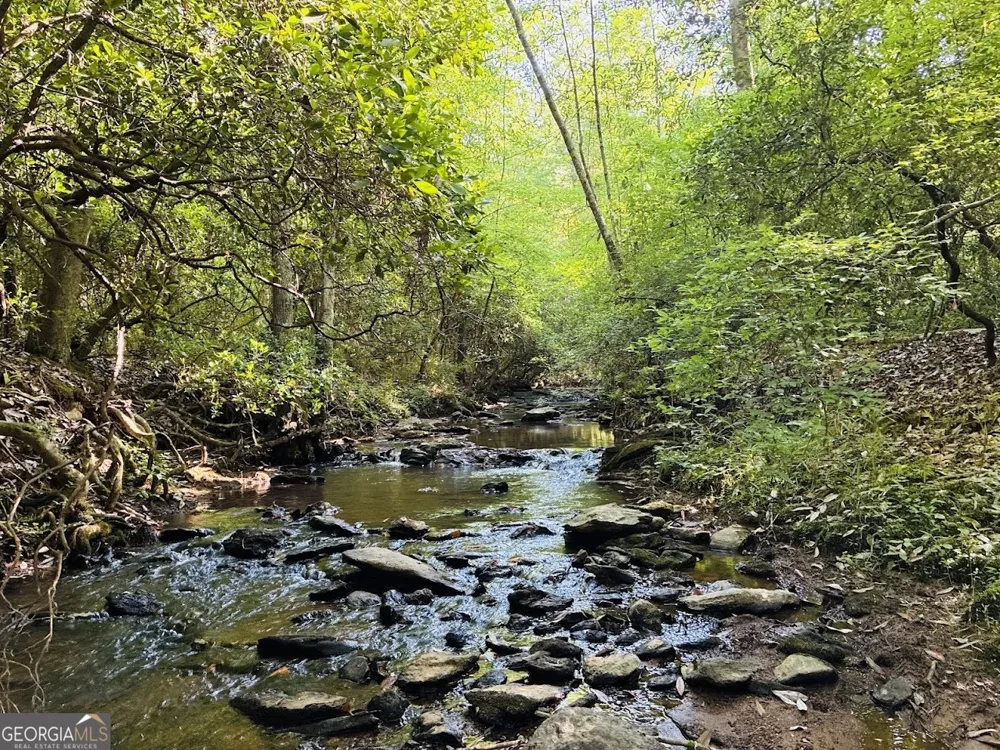0 Creek RD Ashland, AL 36251