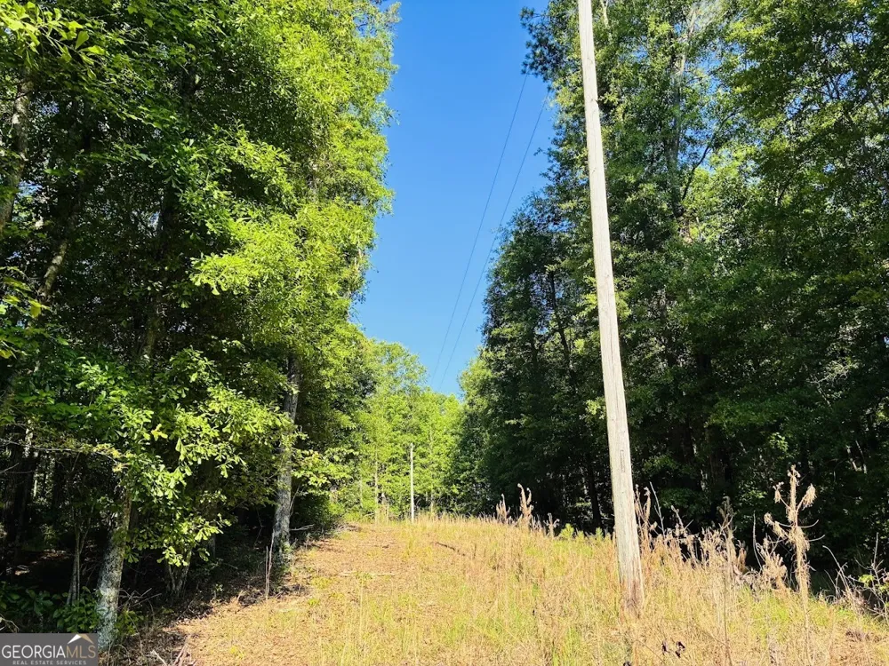 0 Creek RD Ashland, AL 36251