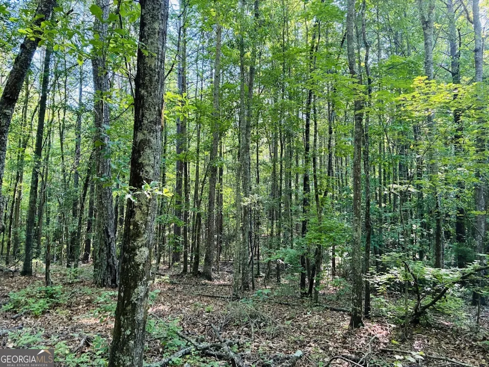 0 Creek RD Ashland, AL 36251